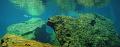 Cenote cavern and cave diving. Underwater gallery
